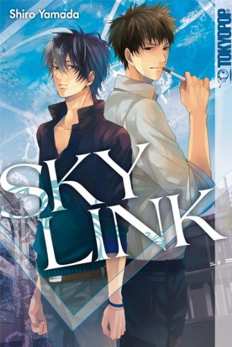 Sky Link